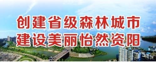 黄人少妇骚逼创建省级森林城市 建设美丽怡然资阳